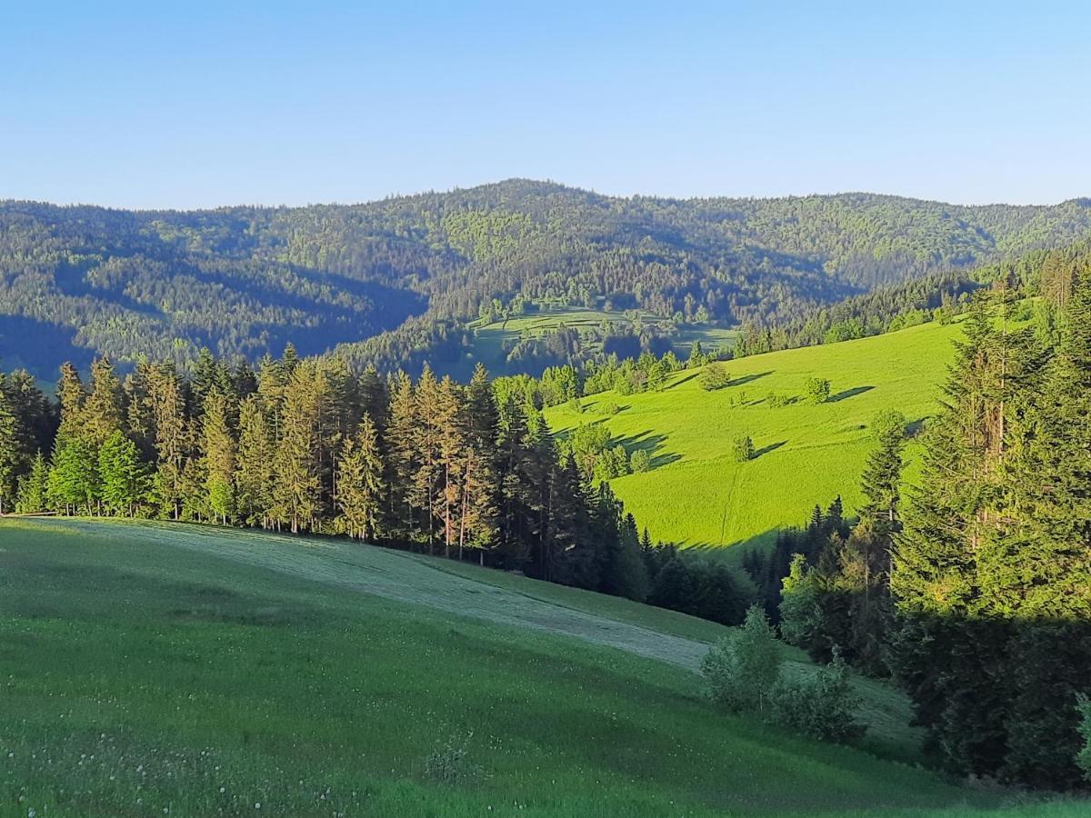 Domek Na Szlaku Rikardo Ponice Esterno foto